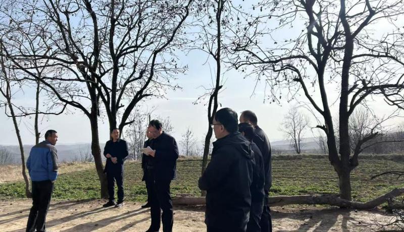 881da1539eee3b165f342c229360bdfe