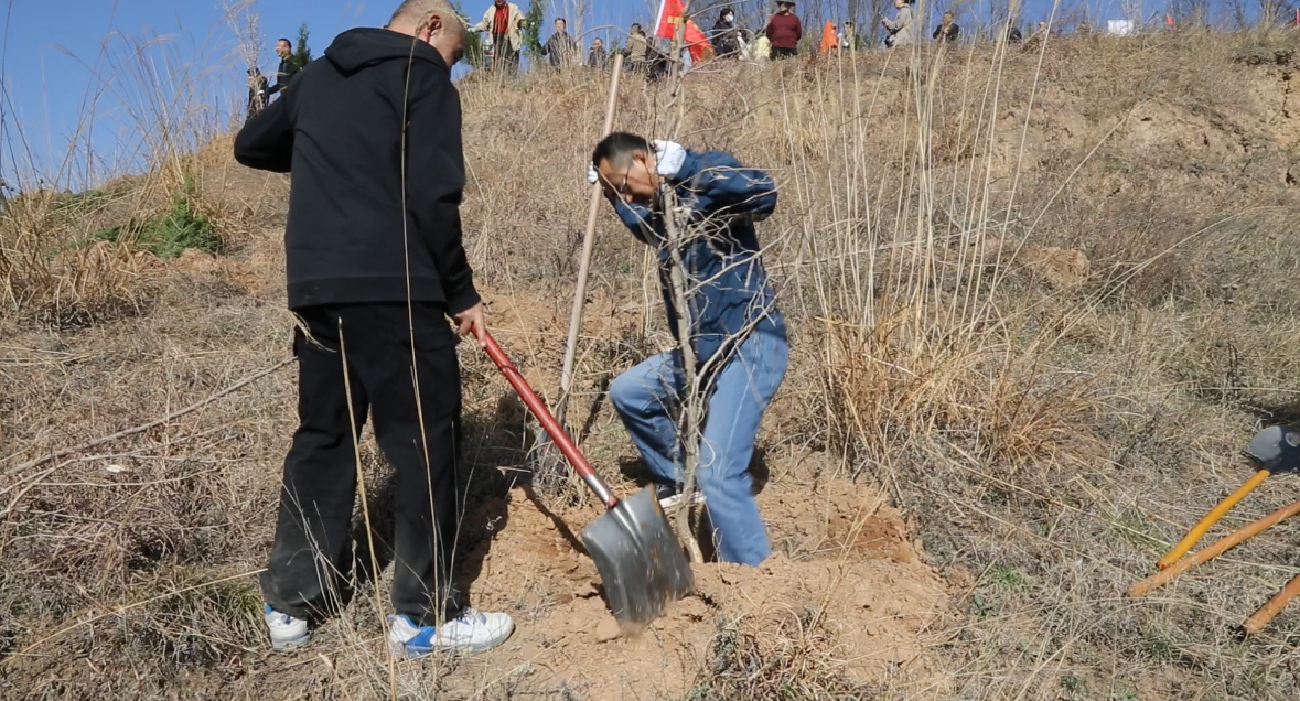 617d8525b104b760df870a936239010d