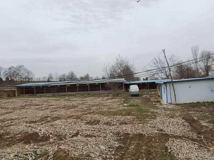 31e4e0df54118013225c9528917d6e61