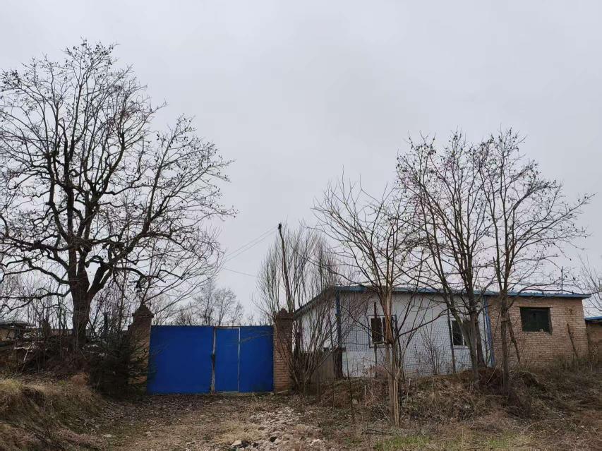 3305e30c543d1dbe9bcf39a908f1dd1c