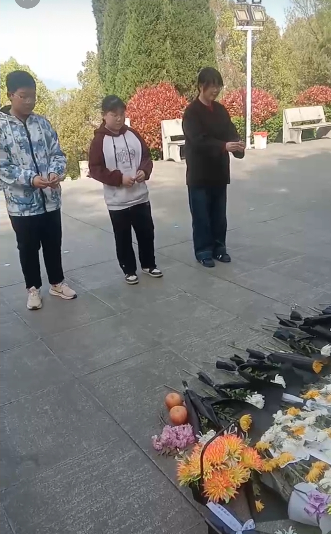 5C24042CF24600EA81690A10D368E47F