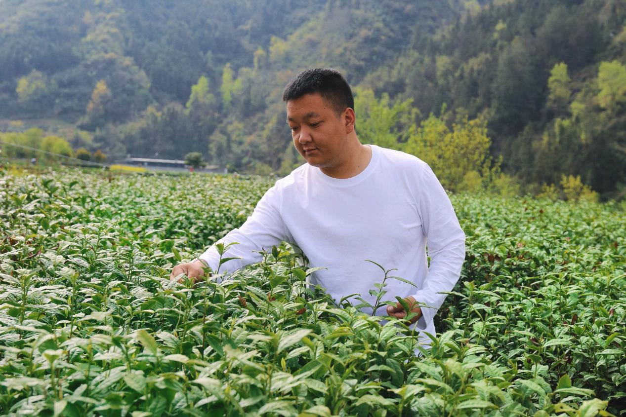 e5df27320eaaed67b076bf2cb9ac8f7a