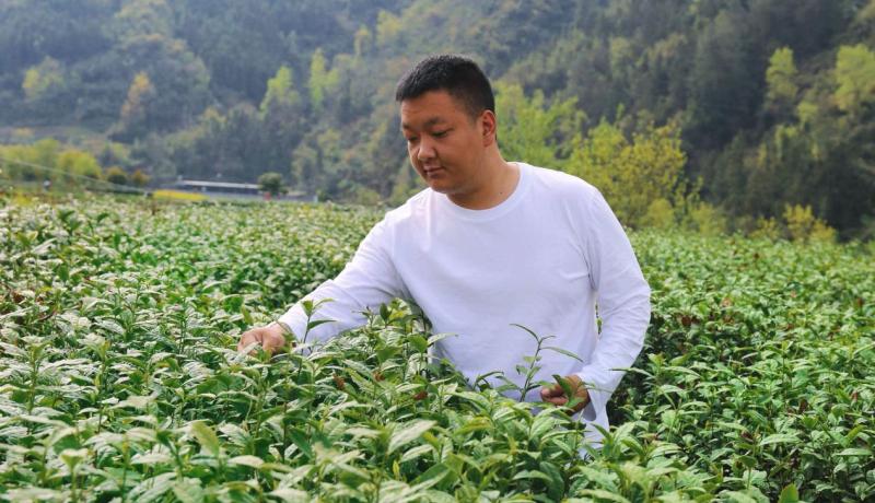 e5df27320eaaed67b076bf2cb9ac8f7a