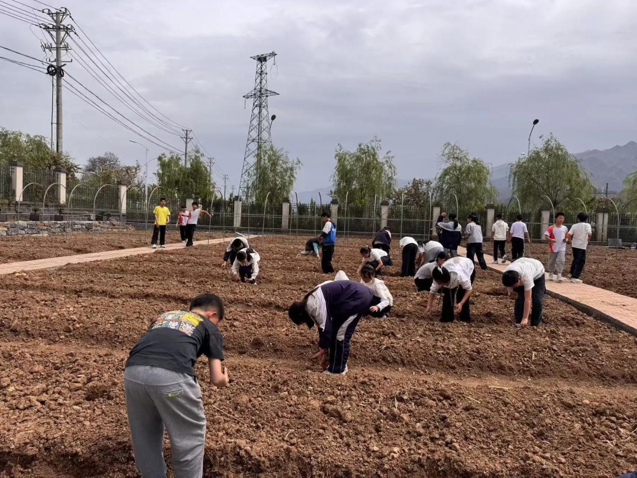 微信图片_20260413175657_1716_8