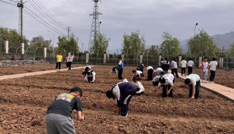 微信图片_20260413175657_1716_8