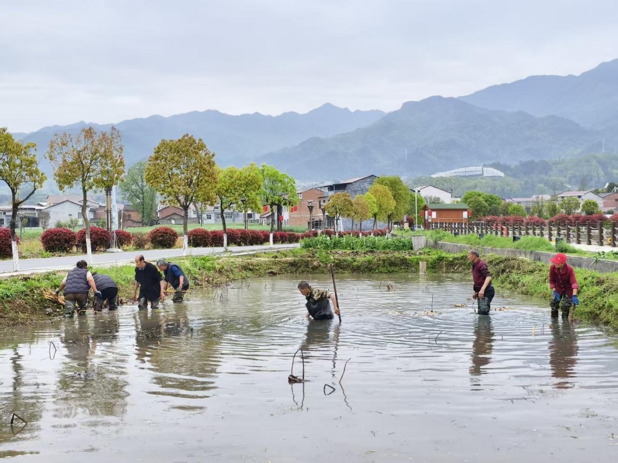 2e4664d232c091838fadce23a1ddb81f