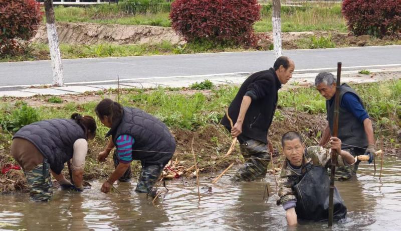 b734421aab832046a34232ab62d5d789