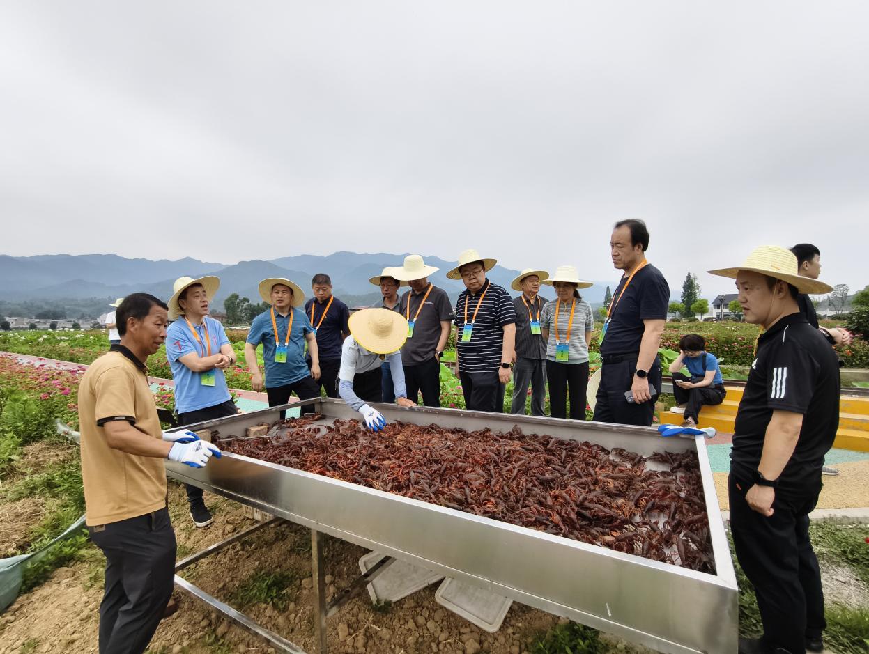 6be6cdb12d5e5f217dce1bedcd1c71e2