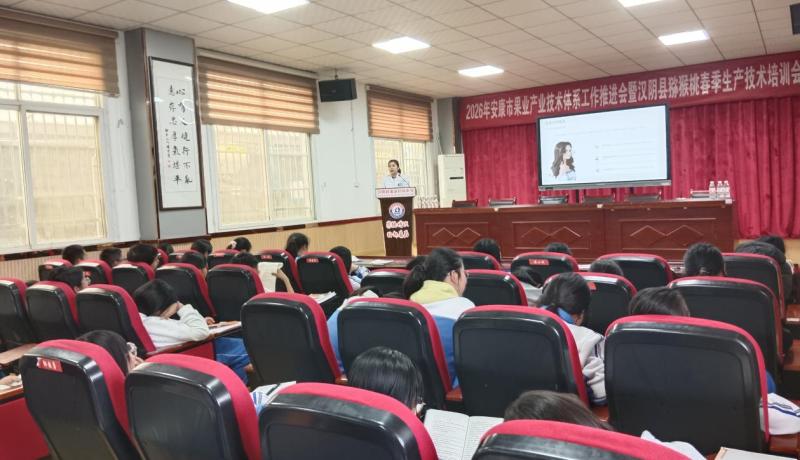 微信图片_20260417105307_179_79