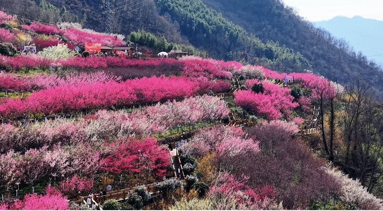 微信图片_20260223174453_65_110