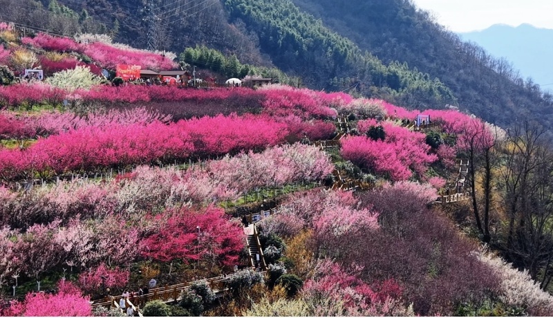 微信图片_20260223174453_65_110