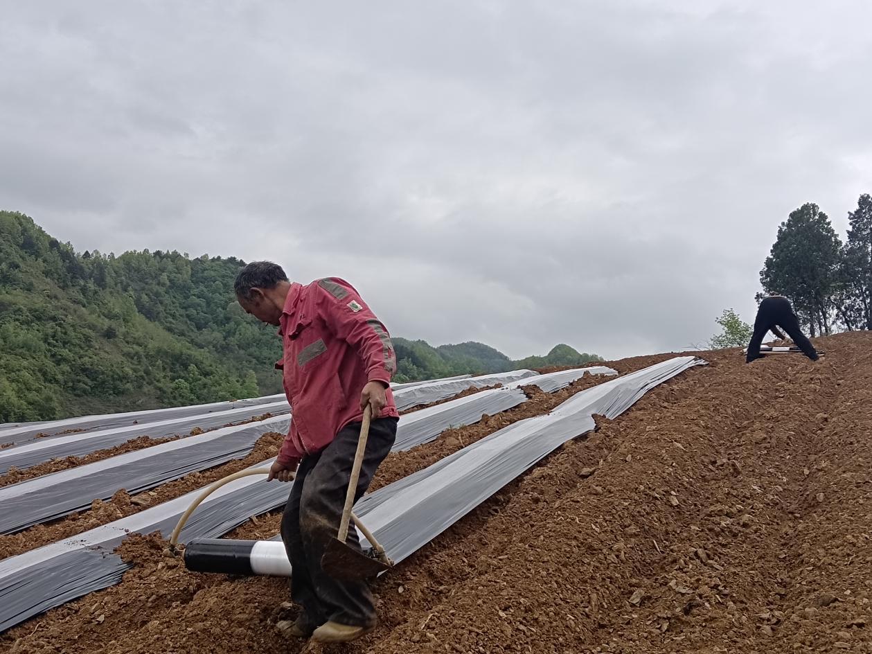 51472bad1cb8227d7744947c2ec5fc60