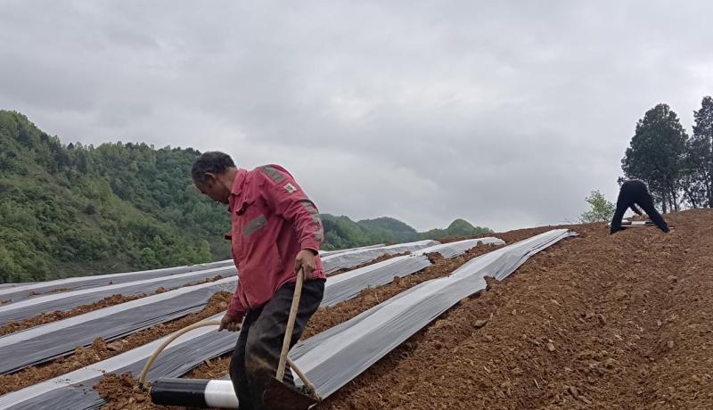 51472bad1cb8227d7744947c2ec5fc60