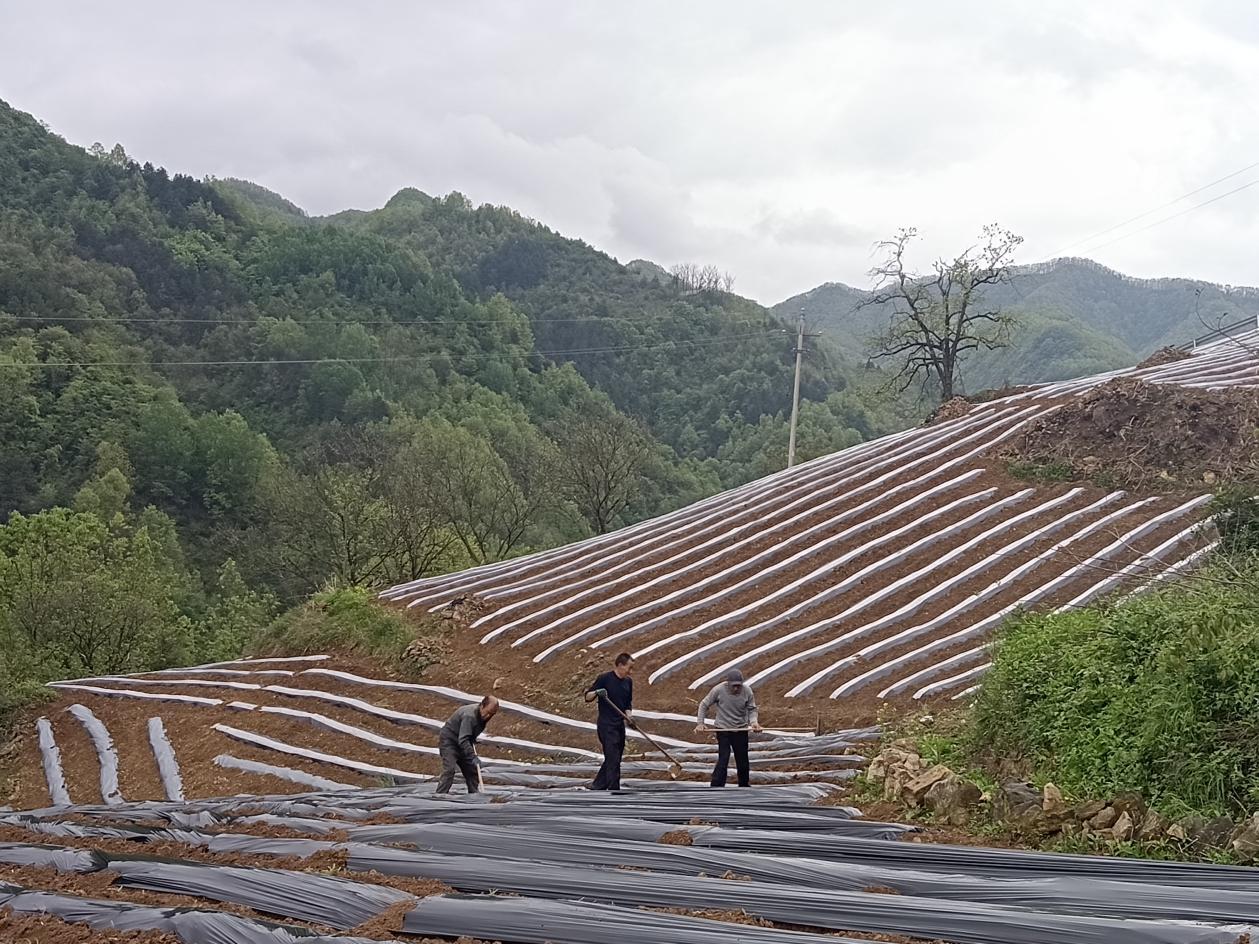 d8d8c84962163878d48c58e52d1544fa