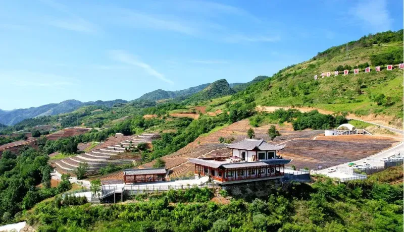 山陽縣林業(yè)局：用汗水澆灌出生態(tài)振興的希望之花