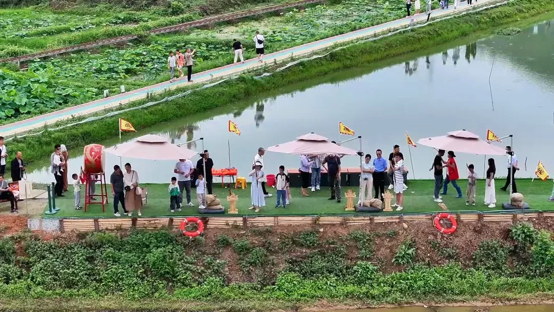 IMG_256