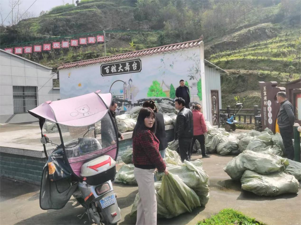 群眾在王家河村部領(lǐng)取桑苗