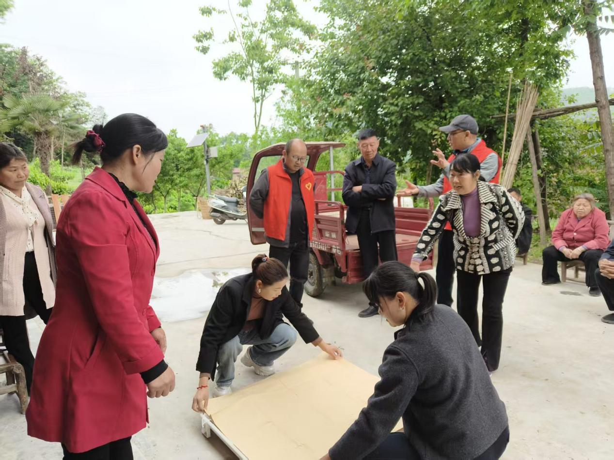 王家河村工作人員協(xié)助小蠶共育戶分發(fā)小蠶