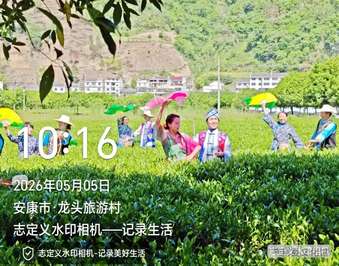 IMG_256