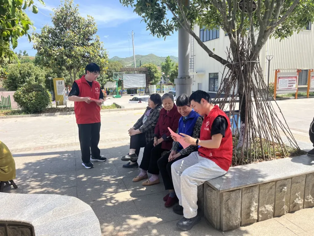 IMG_256