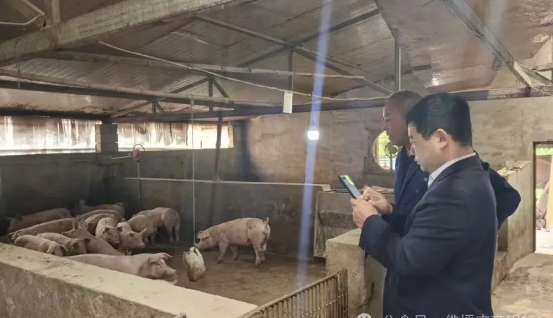 佛坪縣農(nóng)商銀行西岔河支行：金融助農(nóng)促發(fā)展