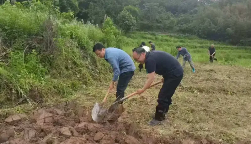 寧陜縣司法局：深耕田間踐初心 實干助農(nóng)擔使命