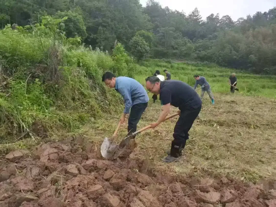 圖片.jpg