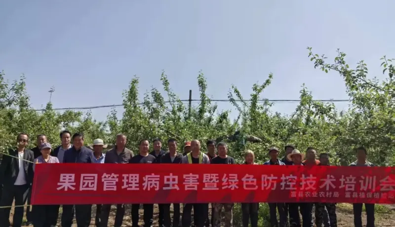 富縣植保植檢站：綠色防控引領(lǐng)鄉(xiāng)村振興 科技賦能助力產(chǎn)業(yè)興旺