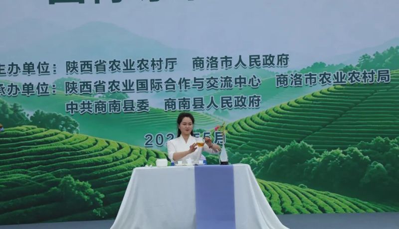 2026年“國際茶日”陜西主場活動在商南縣啟動