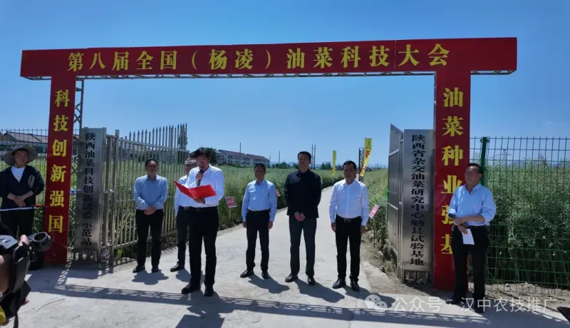 漢油系列新品種亮相第八屆全國（楊凌）油菜科技大會
