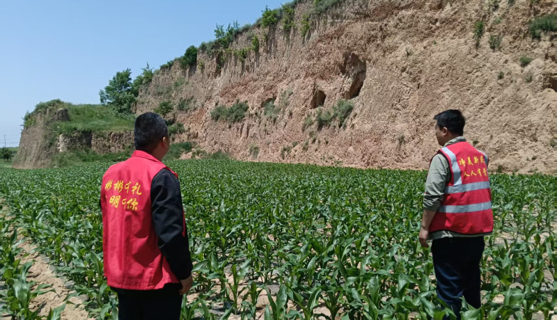 彬州市新民鎮(zhèn)：守好“責(zé)任田” 繪就“豐收景”