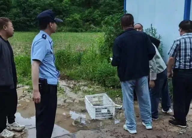 永壽縣公安局城關(guān)派出所成功救助國家二級保護動物野生大鯢