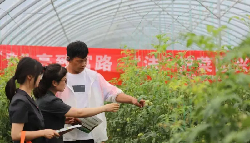 涇陽縣法院：民法典進(jìn)菜園 法治護(hù)航“致富棚”