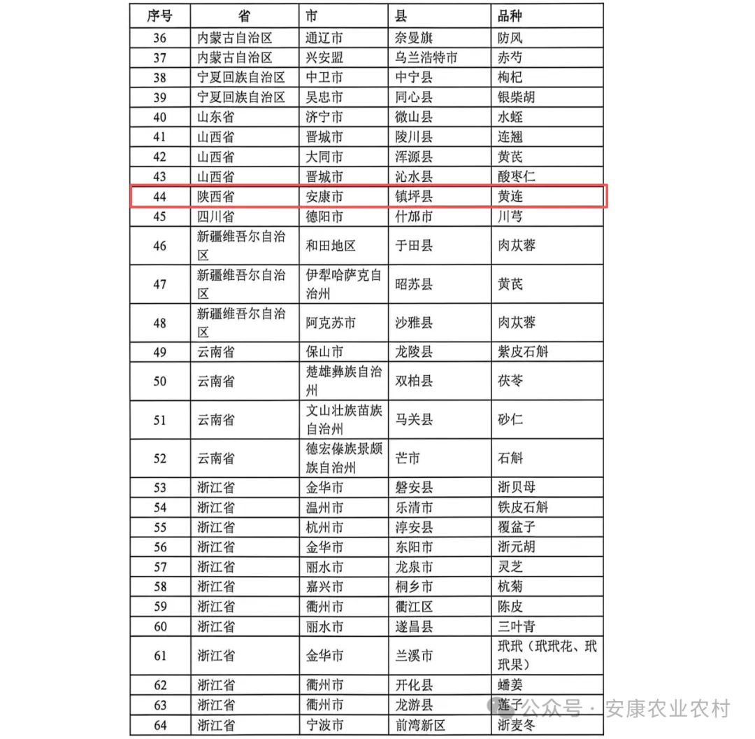 全省唯一！安康鎮(zhèn)坪縣黃連入選2026年道地藥材一縣一品