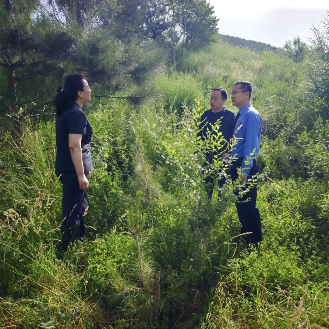 印臺區(qū)人民檢察院：共建“示范園” 守護“生態(tài)綠”