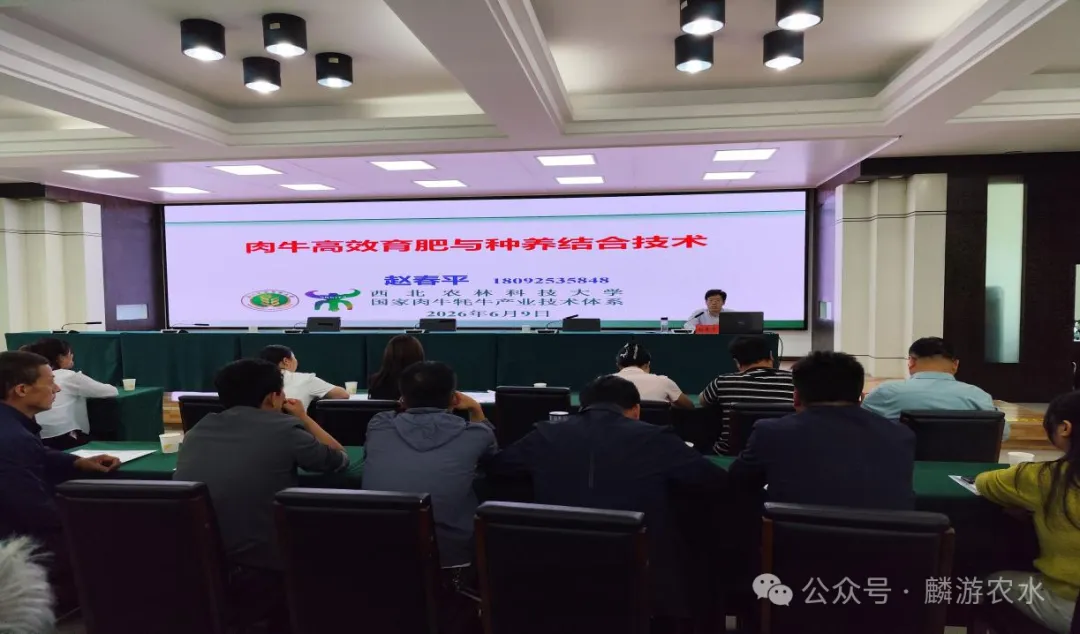 技術(shù)賦能促增收：麟游開(kāi)展肉牛養(yǎng)殖專(zhuān)項(xiàng)技術(shù)培訓(xùn)