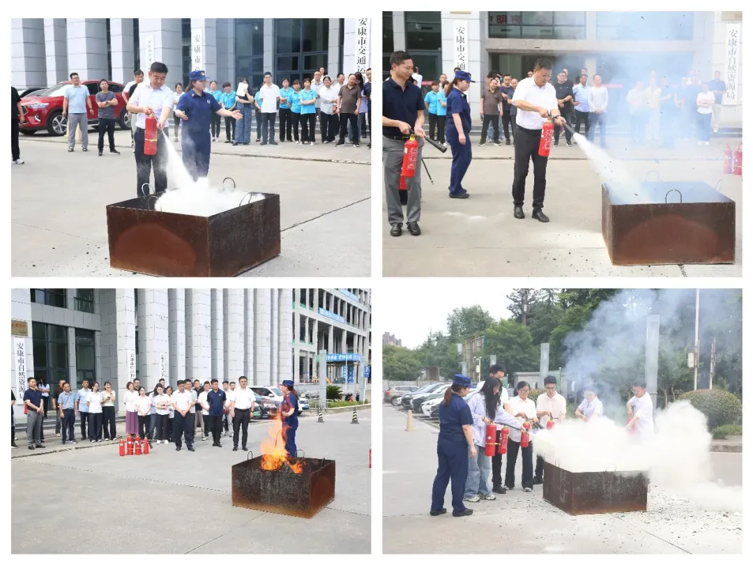IMG_257