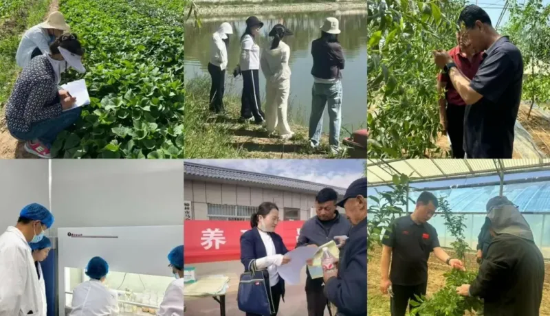 榆林市農(nóng)墾服務(wù)中心第二黨支部：黨建引領(lǐng)強服務(wù) 科技下鄉(xiāng)助“三農(nóng)”