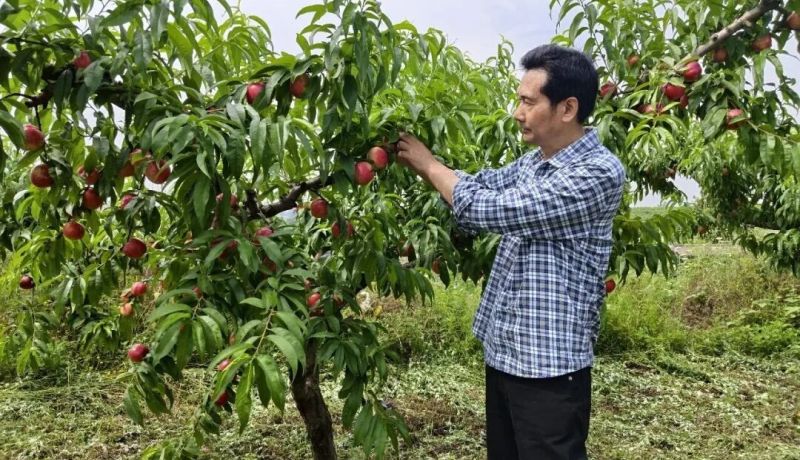 漢臺區(qū)：依托生態(tài)資源優(yōu)勢 推動產(chǎn)業(yè)高質(zhì)量發(fā)展
