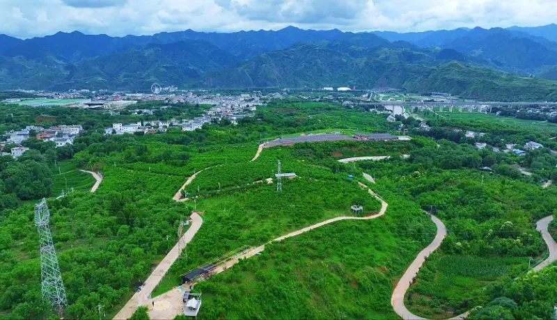 丹鳳：桃香四溢產(chǎn)業(yè)旺 群眾增收笑開顏