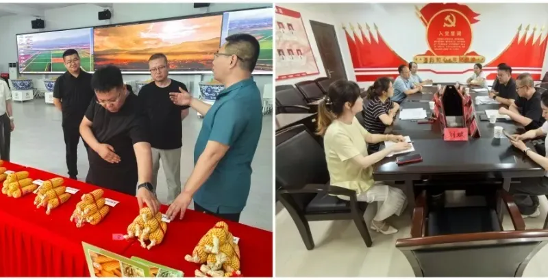 榆林市種業(yè)工作站：對標(biāo)先進(jìn)拓思路  學(xué)以致用謀發(fā)展