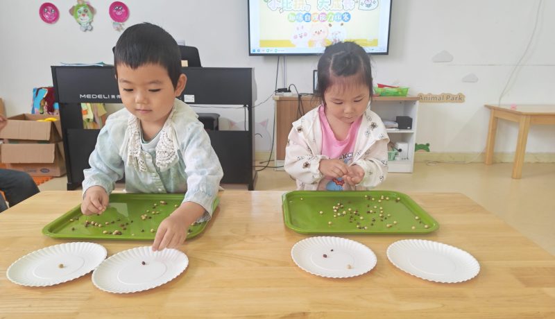 漢陰縣澗池鎮(zhèn)中心幼兒園：多元評(píng)估顯實(shí)效 科學(xué)護(hù)航促成長(zhǎng)