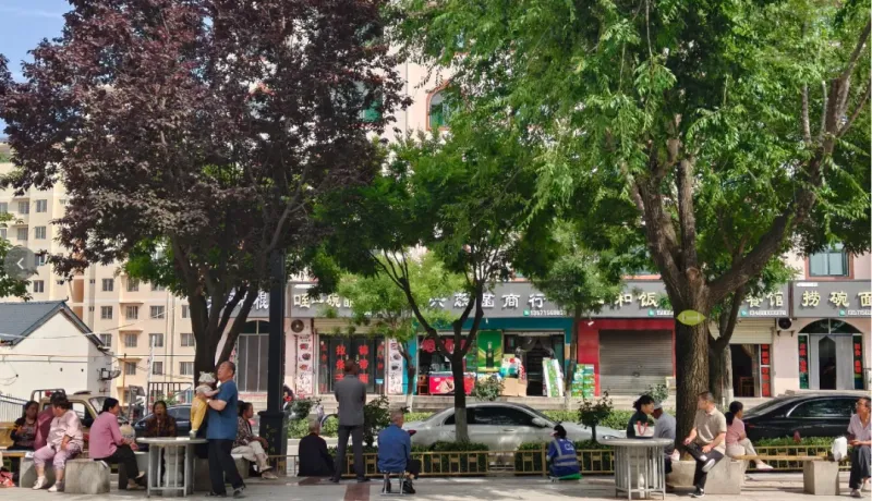 宜君縣圖書館門前的“煙火自留地”