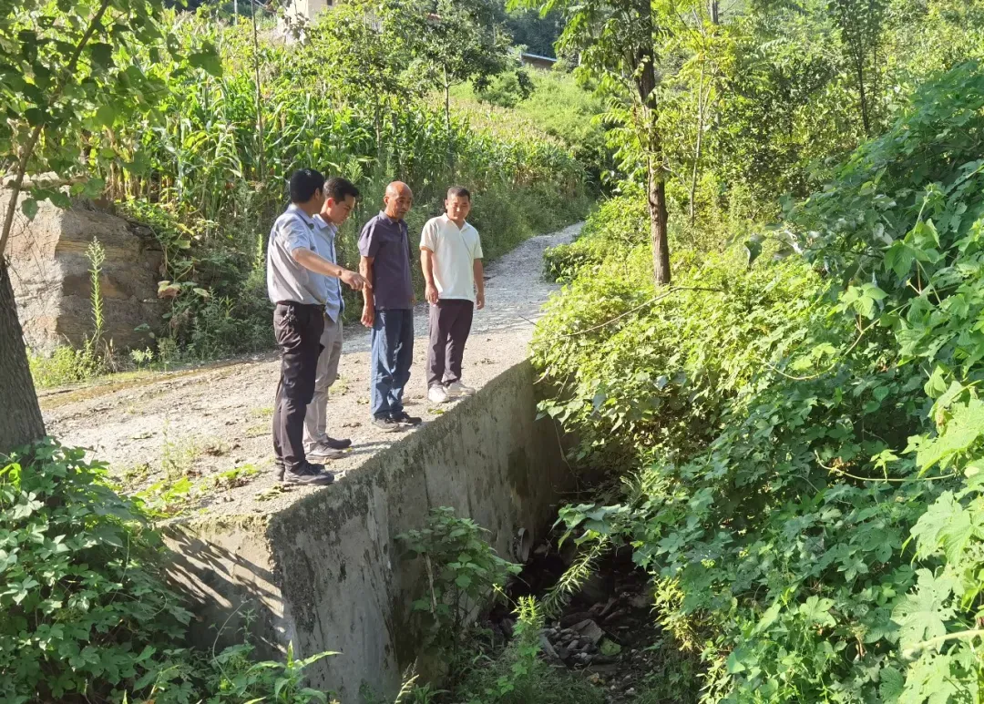 IMG_256