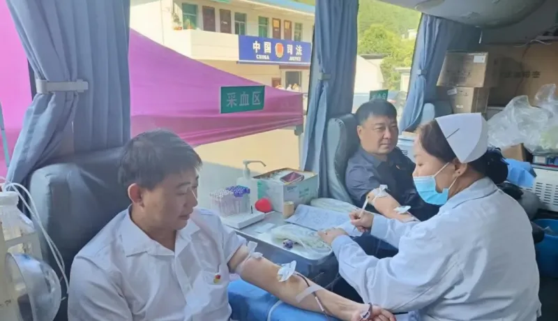 丹凤县寺坪镇：党员带头作表率 热血涌动显温情