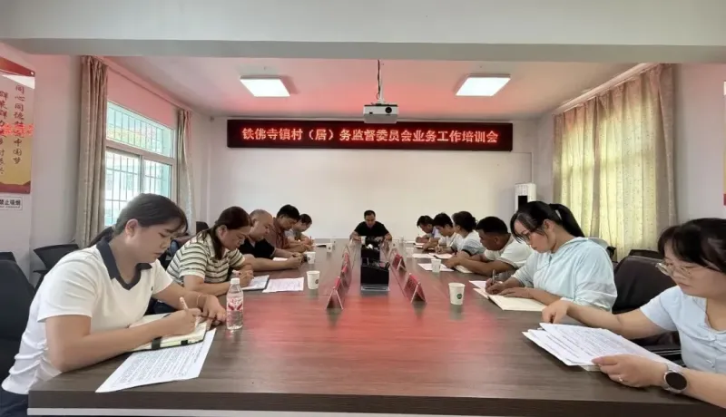 汉阴县铁佛寺镇：以训赋能强本领  精准监督促治理
