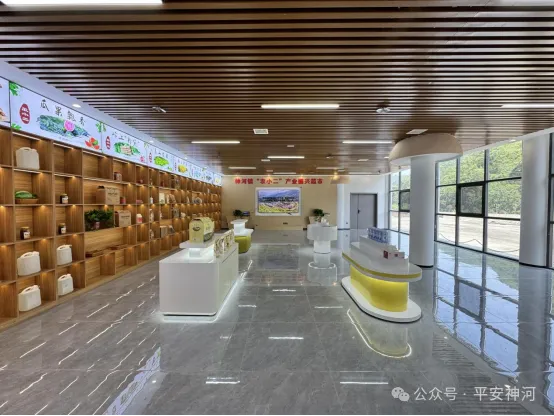 旬阳市神河镇：电商助农  激发乡村振兴新动能