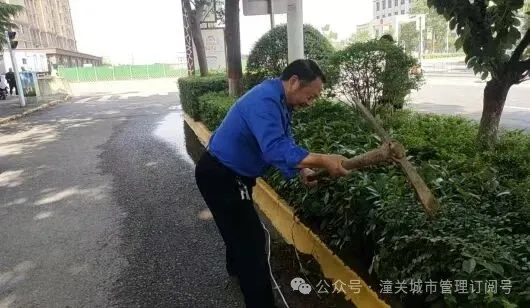 潼关县城管局陈远旭：守护一城灯火 温暖万家归途